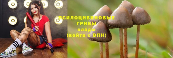 кокаин колумбия Алексеевка
